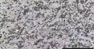 荆门 芙蓉白（芝麻白大花）火烧面