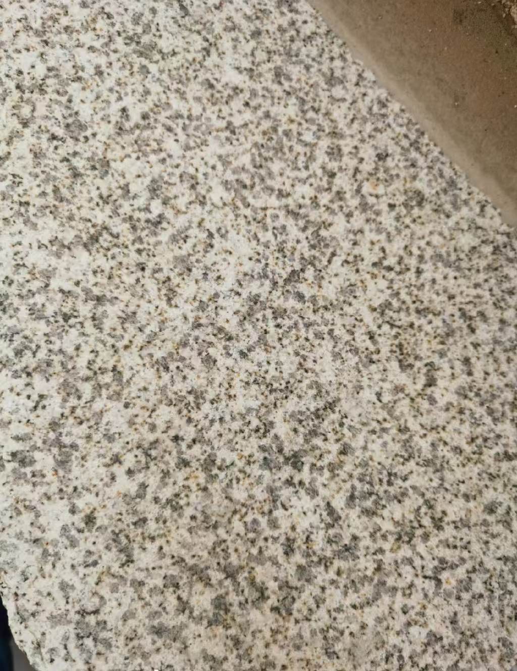 荆门 黄金麻中黄光面