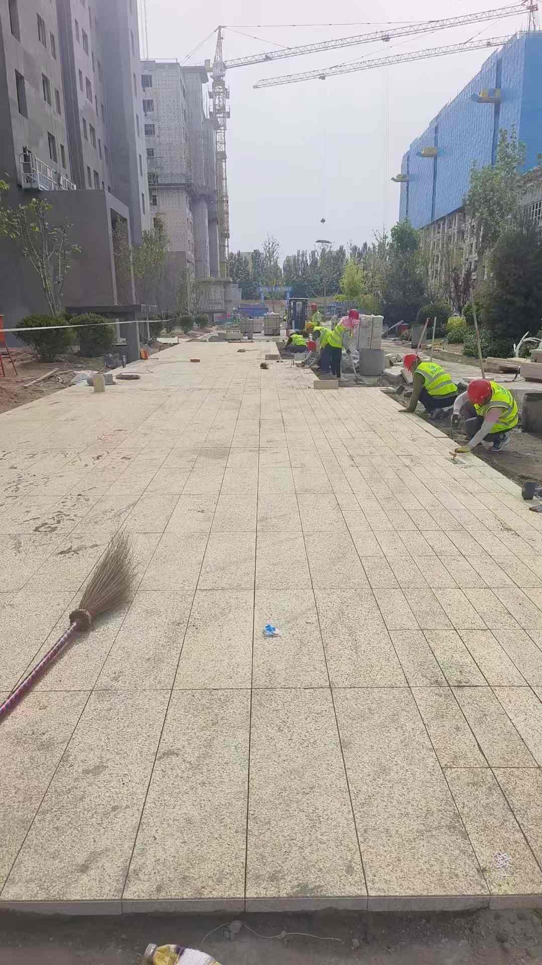 荆门黄金麻荔枝面地铺案例